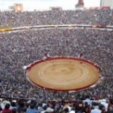 Стадион для корриды в Барселоне может превратиться в мечеть