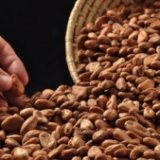 В Доминикане пройдет Фестиваль какао