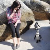 Поплавать с пингвинами предлагает зоопарк Турина