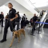 Пассажиры рейса Вена — Стамбул сдали в багаж пулемет