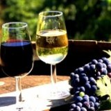 Крым планирует развивать винный туризм