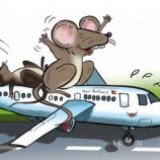 Мышь стала причиной длительной задержки рейса в Норвегии