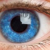 15 фактов о глазах, которые вас поразят
