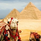 У египетских пирамид разрешили проводить частные праздники