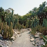 Лотусленд – секретный сад Санта-Барбары