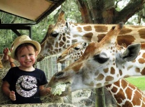 shveicarskim zooparkam zapresheno pokazyvat detenyshei jivotnyh Швейцарским зоопаркам запрещено показывать детенышей животных