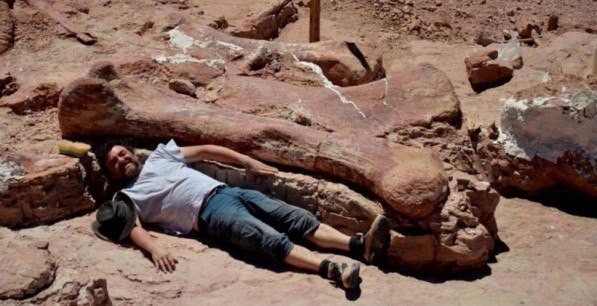 paleontologi obnarujili ostanki samyh bolshih dinozavrov Палеонтологи обнаружили останки самых больших динозавров