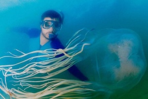plyaji hua hina zakryty iz za meduz Пляжи Хуа Хина закрыты из за медуз