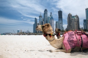 obedinennye arabskie emiraty otmenili udorojanie viz Объединенные Арабские Эмираты отменили удорожание виз