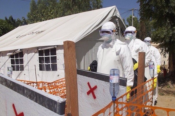 ssha nesut otvetstvennost za vspyshku bolezni vyzvannoi virusom ebola schitayut v kndr США несут ответственность за вспышку болезни, вызванной вирусом Эбола, считают в КНДР