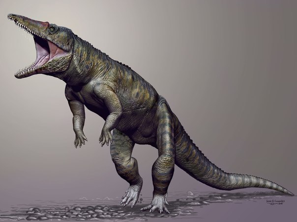 v ssha otkryli gigantskogo dvunogogo krokodila В США открыли гигантского двуногого крокодила