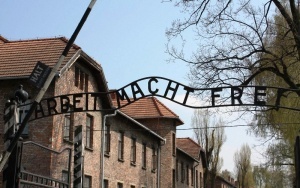 podrostki iz velikobritanii zaderjany za kraju v osvencime Подростки из Великобритании задержаны за кражу в Освенциме