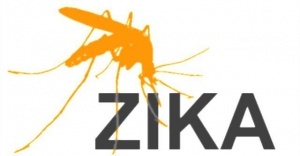 rospotrebnadzor rasskazal kak zashishatsya ot virusa zika Роспотребнадзор рассказал, как защищаться от вируса Зика