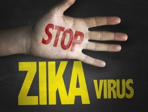 rospotrebnadzor predupredil o rasprostranenii virusa zika v singapure Роспотребнадзор предупредил о распространении вируса Зика в Сингапуре