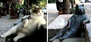 pamyatnik zadumchivomu kotu ukrali v stambule Памятник задумчивому коту украли в Стамбуле
