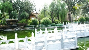 park v kitaiskom stile poyavitsya v moskve Парк в китайском стиле появится в Москве