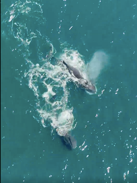 Задачка для аналитика: уместить Камчатку и Алтай в один отпуск - 5 zadachka dlya analitika umestit kamchatku i altai v odin otpusk 5 Задачка для аналитика: уместить Камчатку и Алтай в один отпуск