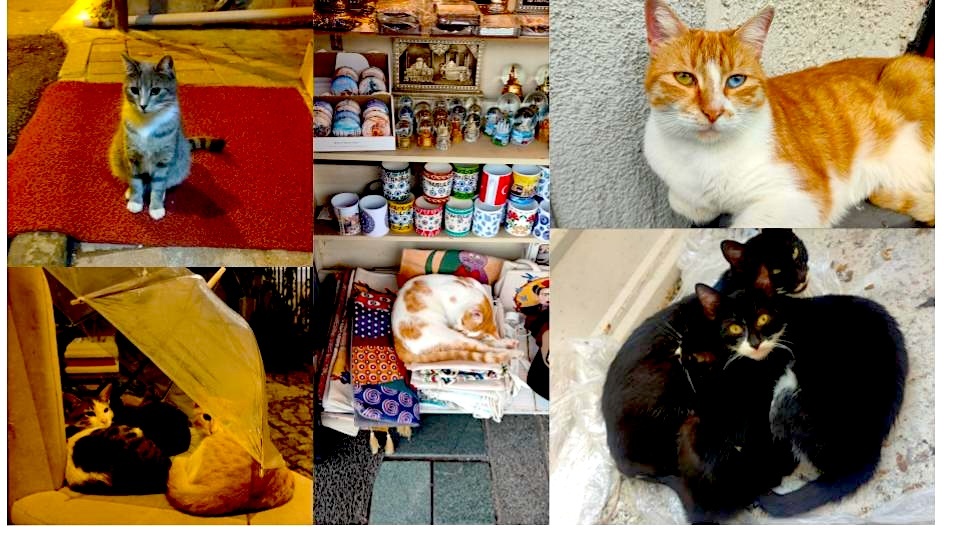 stambul dlya chainikov istoriya korotkogo puteshestviya i laifhaki dlya teh kto sobiraetsya tuda vpervye 26 Стамбул для чайников: история короткого путешествия и лайфхаки для тех, кто собирается туда впервые