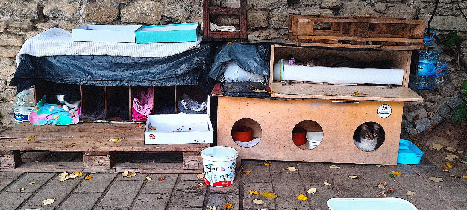 stambul dlya chainikov istoriya korotkogo puteshestviya i laifhaki dlya teh kto sobiraetsya tuda vpervye 27 Стамбул для чайников: история короткого путешествия и лайфхаки для тех, кто собирается туда впервые