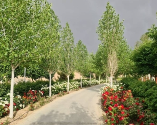 iz moskvy k persidskomu zalivu na motocikle 5 chast 17 Из Москвы к Персидскому заливу на мотоцикле. 5 часть