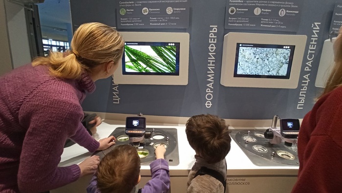 Планета океан Калининград - 10 planeta okean kaliningrad 10 Планета океан Калининград