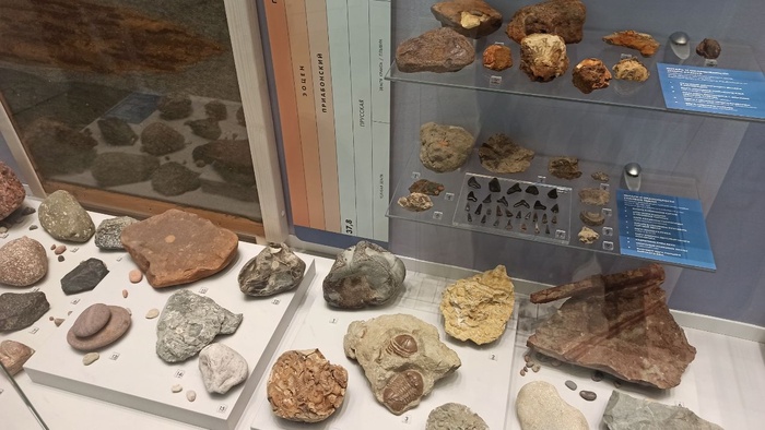 Планета океан Калининград - 11 planeta okean kaliningrad 11 Планета океан Калининград