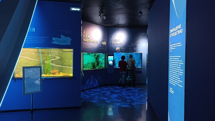 Планета океан Калининград - 15 planeta okean kaliningrad 15 Планета океан Калининград