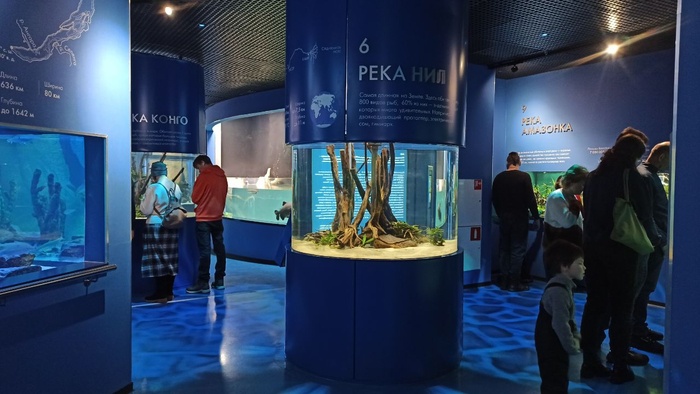 Планета океан Калининград - 16 planeta okean kaliningrad 16 Планета океан Калининград