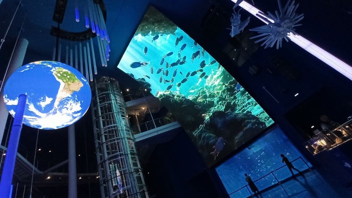 Планета океан Калининград - 24 planeta okean kaliningrad 24 Планета океан Калининград