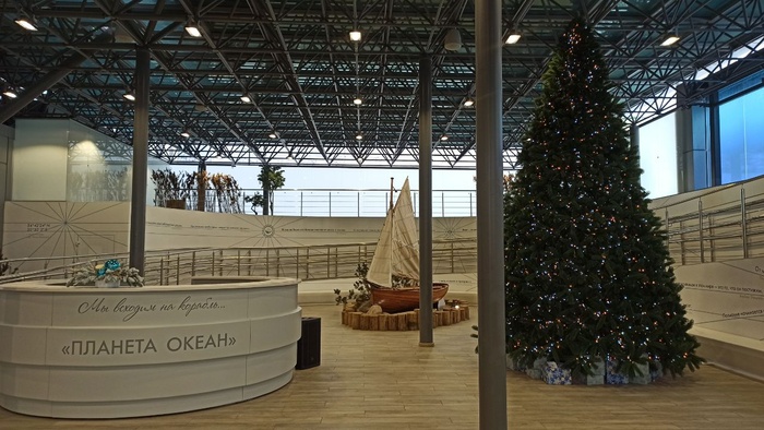 Планета океан Калининград - 5 planeta okean kaliningrad 5 Планета океан Калининград