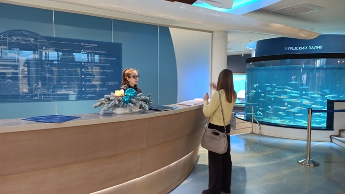 Планета океан Калининград - 9 planeta okean kaliningrad 9 Планета океан Калининград