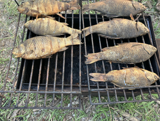 motoputeshestvie v afganistan chast 1 6 Мотопутешествие в Афганистан, часть 1