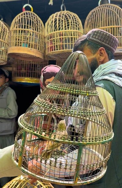 Мотопутешествие в Афганистан, часть 2 - 17 motoputeshestvie v afganistan chast 2 17 Мотопутешествие в Афганистан, часть 2