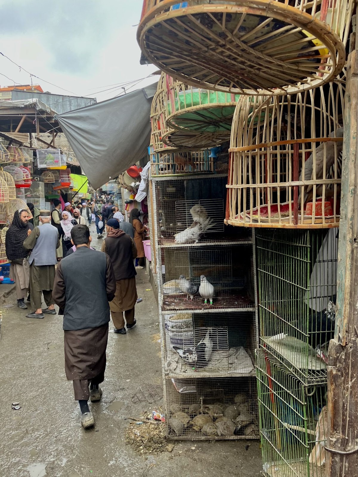 Мотопутешествие в Афганистан, часть 2 - 18 motoputeshestvie v afganistan chast 2 18 Мотопутешествие в Афганистан, часть 2