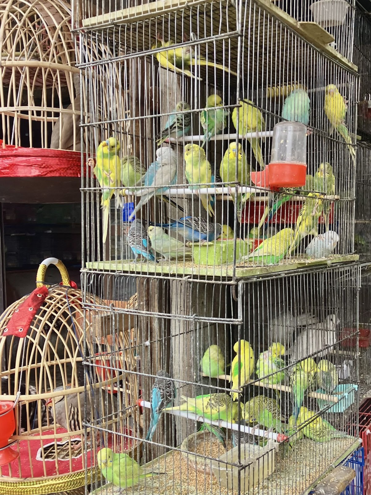 Мотопутешествие в Афганистан, часть 2 - 19 motoputeshestvie v afganistan chast 2 19 Мотопутешествие в Афганистан, часть 2