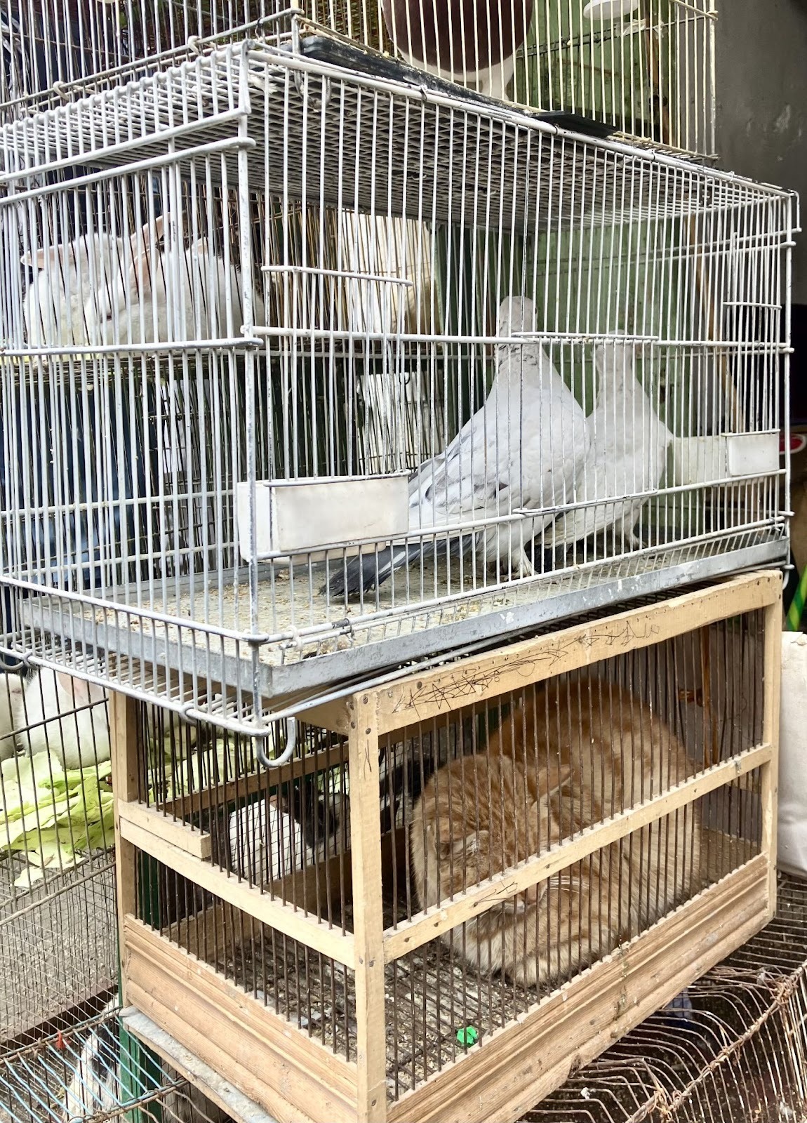 Мотопутешествие в Афганистан, часть 2 - 20 motoputeshestvie v afganistan chast 2 20 Мотопутешествие в Афганистан, часть 2