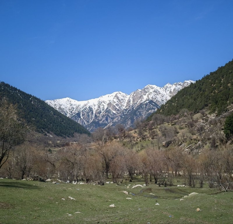 motoputeshestvie v afganistan 3 ya chast 2 Мотопутешествие в Афганистан (3 я часть)