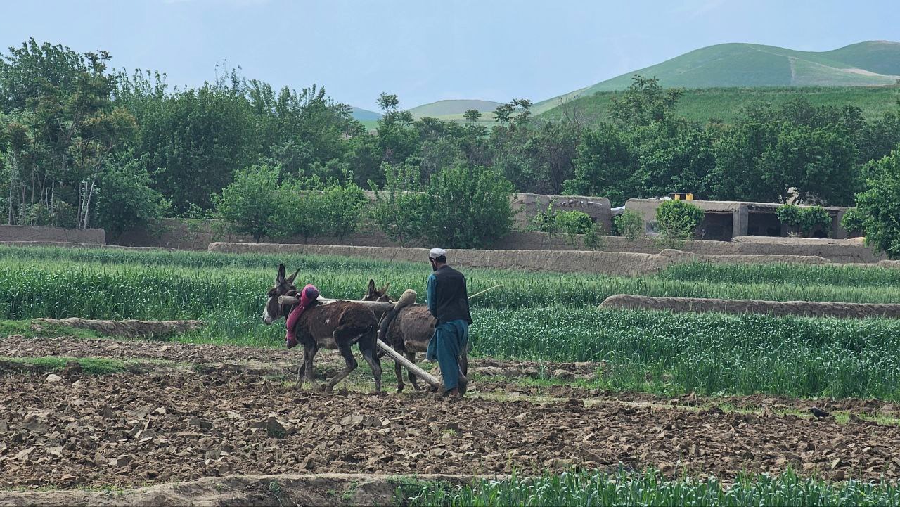 motoputeshestvie v afganistan chast 4 5 Мотопутешествие в Афганистан, часть 4