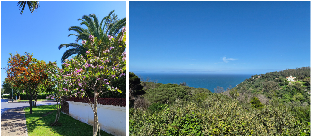 NLP glazami CVshnika chem mne zapomnilas poezdka v marokko na konferenciyu EACL 2026 3 NLP глазами CVшника. Чем мне запомнилась поездка в Марокко на конференцию EACL 2026