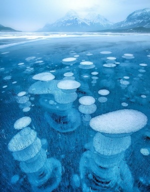 cepochki puzyrei ili prirodnyi fenomen ozera avraam v kanade Цепочки пузырей или природный феномен озера Авраам в Канаде