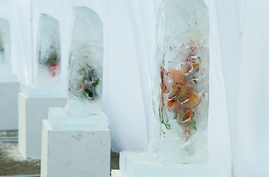 cvety v ledyanyh glybah predstavyat na vystavke v kieve Цветы в ледяных глыбах представят на выставке в Киеве