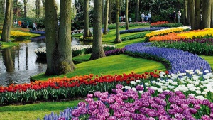 park cvetov kekenhof jdet posetitelei Парк цветов Кекенхоф ждет посетителей