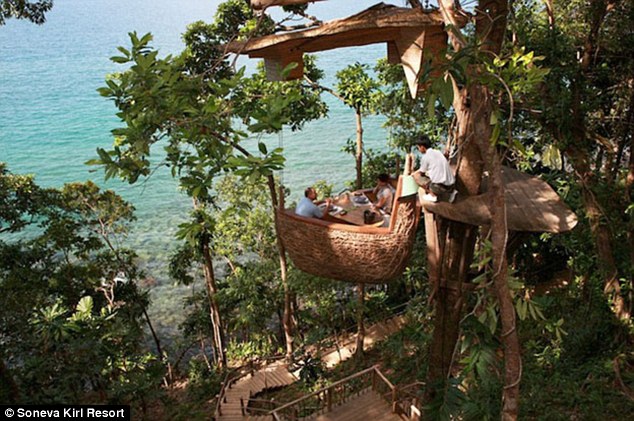 restoran tailanda predlagaet poujinat na verhushke dereva Ресторан Таиланда предлагает поужинать на верхушке дерева