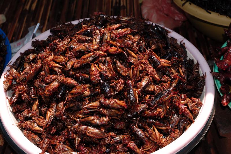restoran varshavy predlagaet poobedat nasekomymi Ресторан Варшавы предлагает пообедать насекомыми