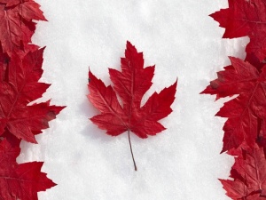 stoimost mnogokratnoi kanadskoi vizy podeshevela Стоимость многократной канадской визы подешевела