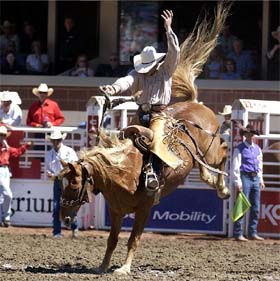 v las vegase proidet final grandioznogo rodeo В Лас Вегасе пройдет финал грандиозного родео