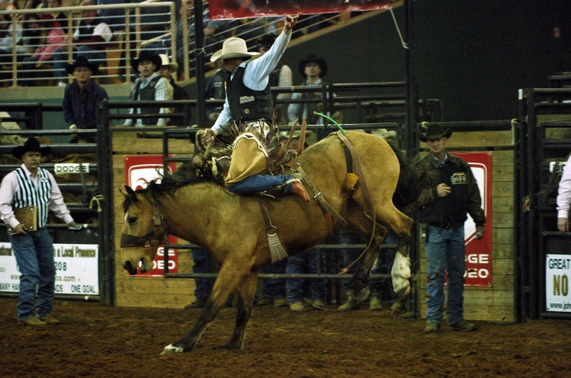 vo floride proidet znamenitoe rodeo Silver Spurs Во Флориде пройдет знаменитое родео Silver Spurs