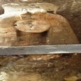 Статую бабушки Тутанхамона откопали в Египте