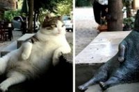 00d03a2e9 200x133 Карта сайта