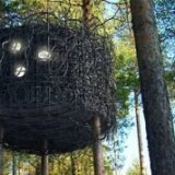 В Подмосковье появятся мини-отели на деревьях